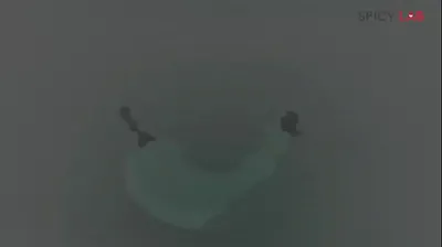 VIET69C