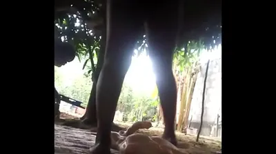 VIET69C