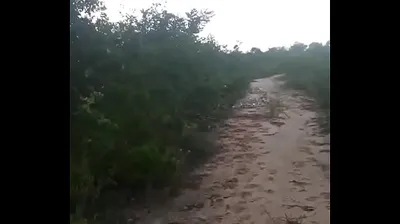 VIET69C