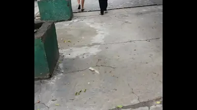 VIET69C