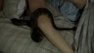 VIET69C