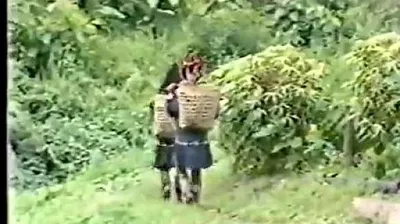 VIET69C