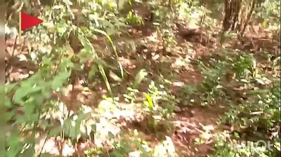 VIET69C