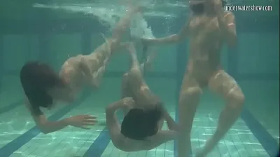VIET69C