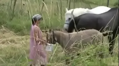 VIET69C