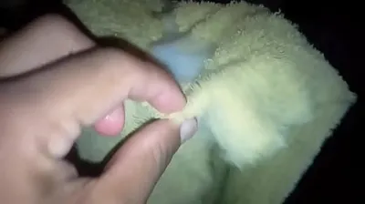 VIET69C