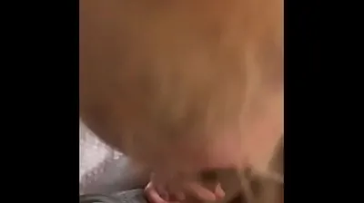 VIET69C