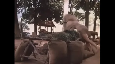 VIET69C