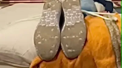 VIET69C