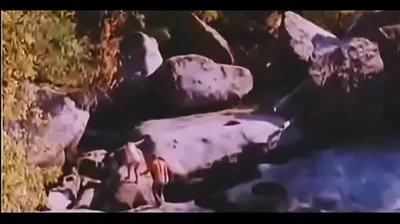 VIET69C