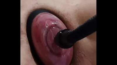 VIET69C