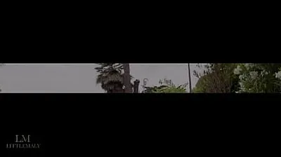 VIET69C