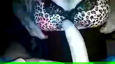 VIET69C