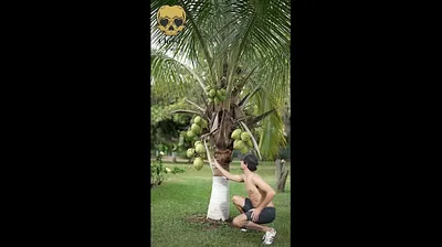 VIET69C