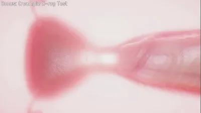 VIET69C