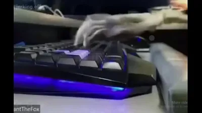 VIET69C