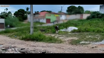 VIET69C
