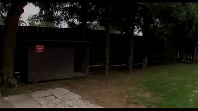 VIET69C