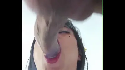 VIET69C
