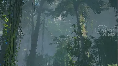 VIET69C