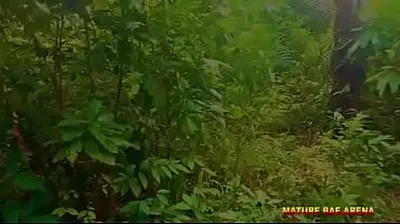 VIET69C