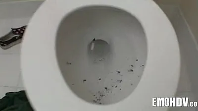 VIET69C