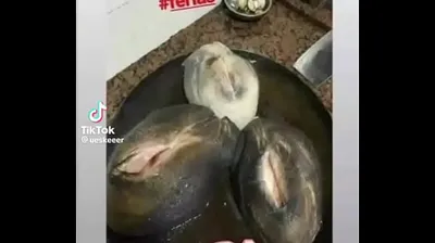 VIET69C