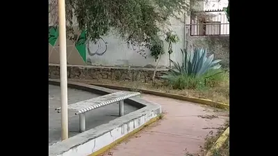 VIET69C