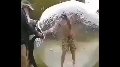 VIET69C