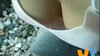 VIET69C