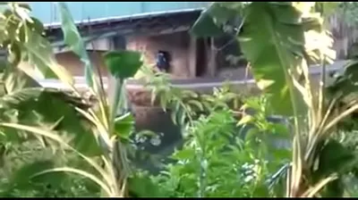 VIET69C