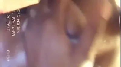 VIET69C