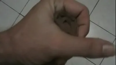VIET69C