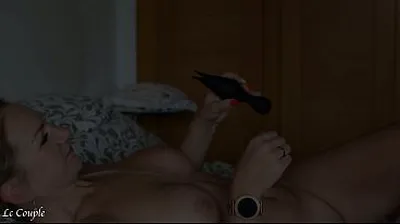 VIET69C