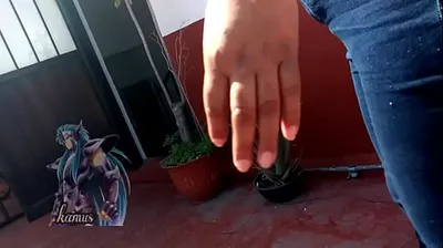 VIET69C