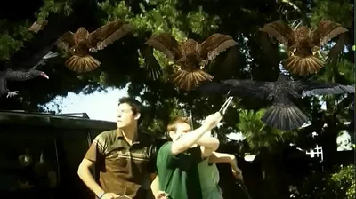 VIET69C