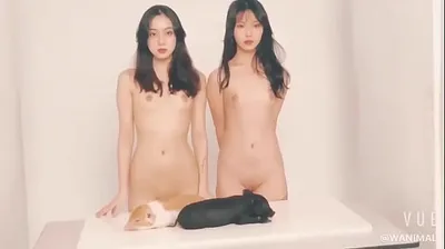 VIET69C