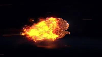 VIET69C