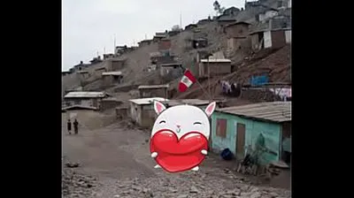 VIET69C