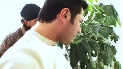 VIET69C