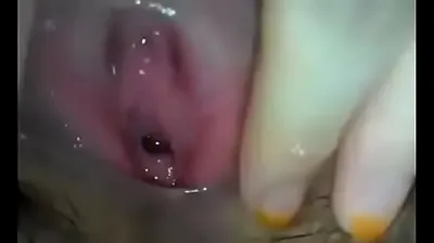 VIET69C
