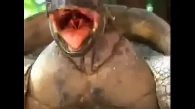 VIET69C