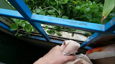 VIET69C