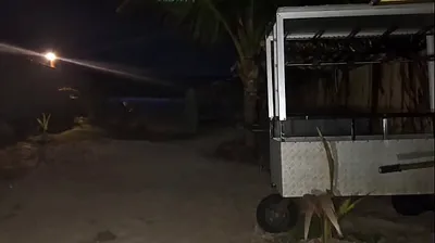 VIET69C