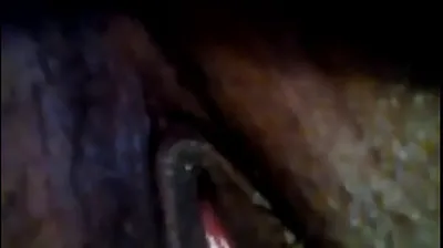 VIET69C