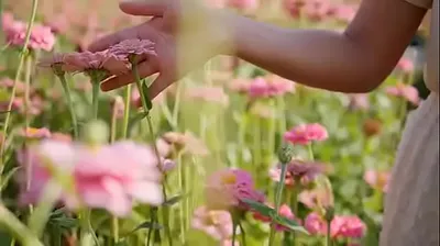 VIET69C