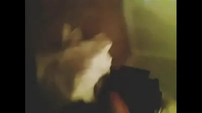 VIET69C