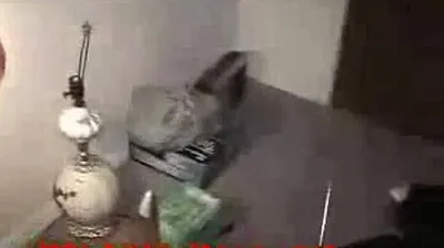 VIET69C