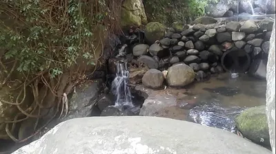 VIET69C