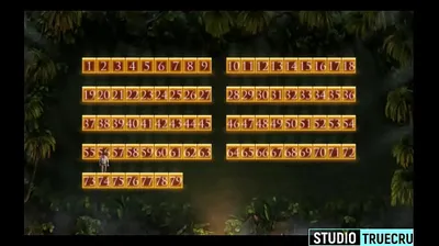 VIET69C